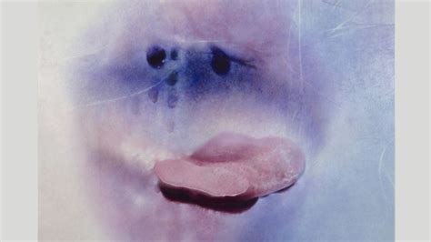 hot mature tube|Sex positivity after 70: Marilyn Minter’s sensual photographs of ...